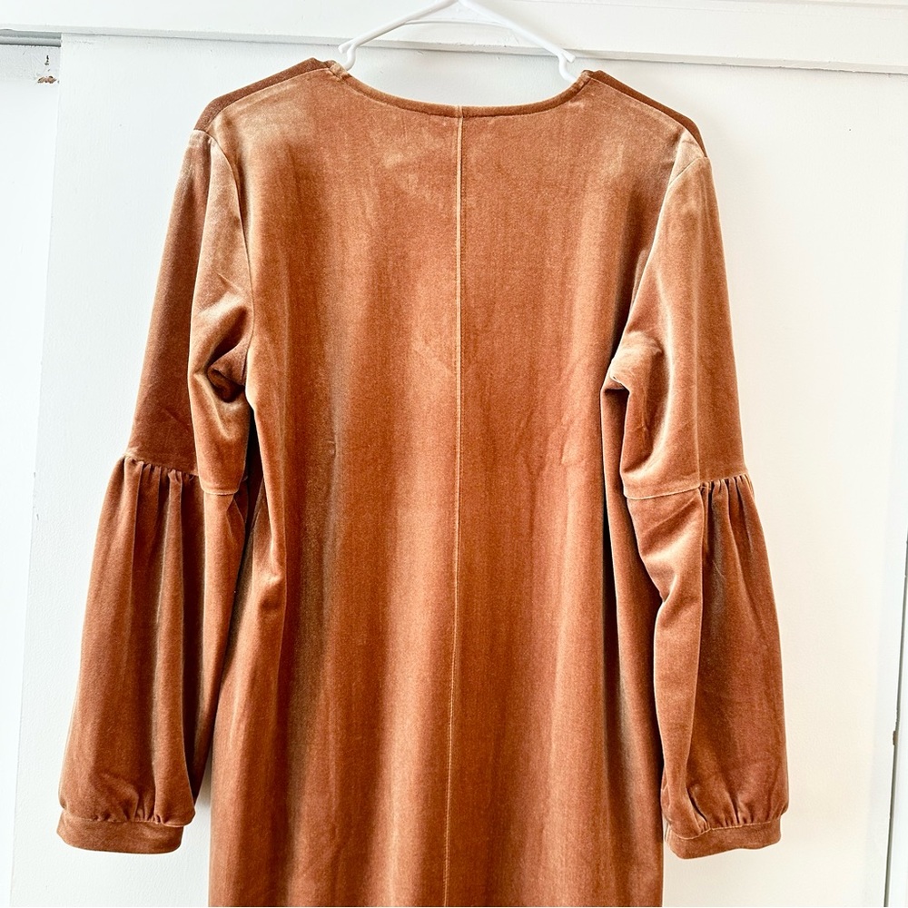 Madewell Balloon Sleeve Velvet Mini Dress - Picture 6 of 7
